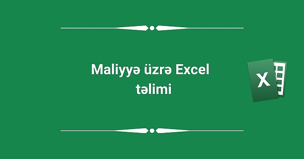 Maliyyə üzrə Excel təlimi