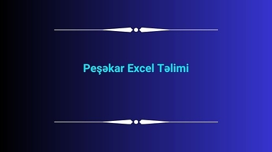 Peşəkar Excel Təlimi