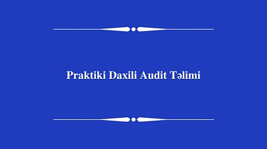 Praktiki Daxili Audit Təlimi