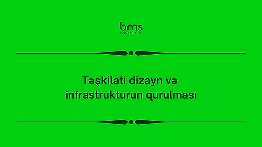 Təşkilati dizayn və infrastrukturun qurulması