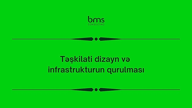 Təşkilati dizayn və infrastrukturun qurulması