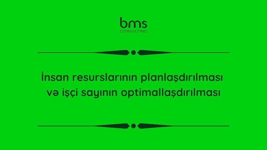 İnsan resurslarının planlaşdırılması və işçi sayının optimallaşdırılması