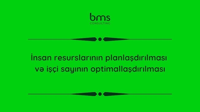 İnsan resurslarının planlaşdırılması və işçi sayının optimallaşdırılması
