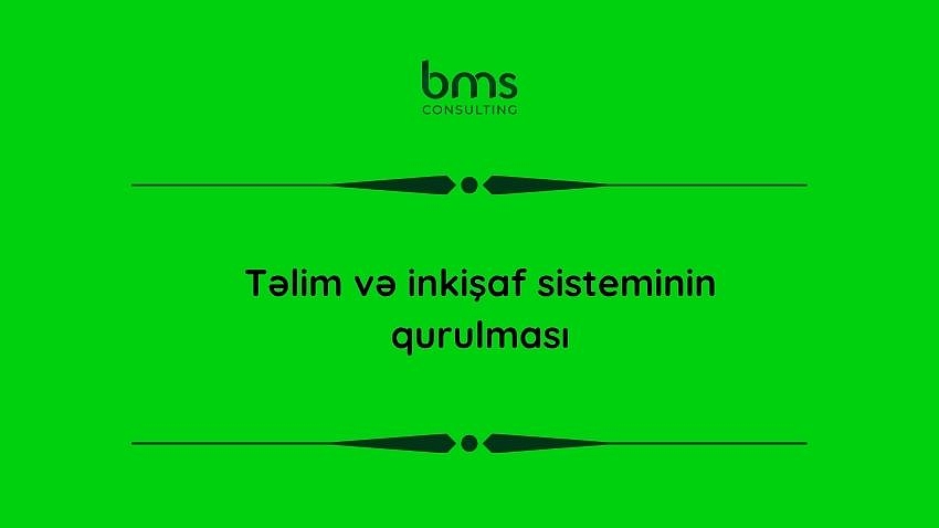 Təlim və inkişaf sisteminin qurulması