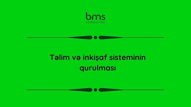 Təlim və inkişaf sisteminin qurulması