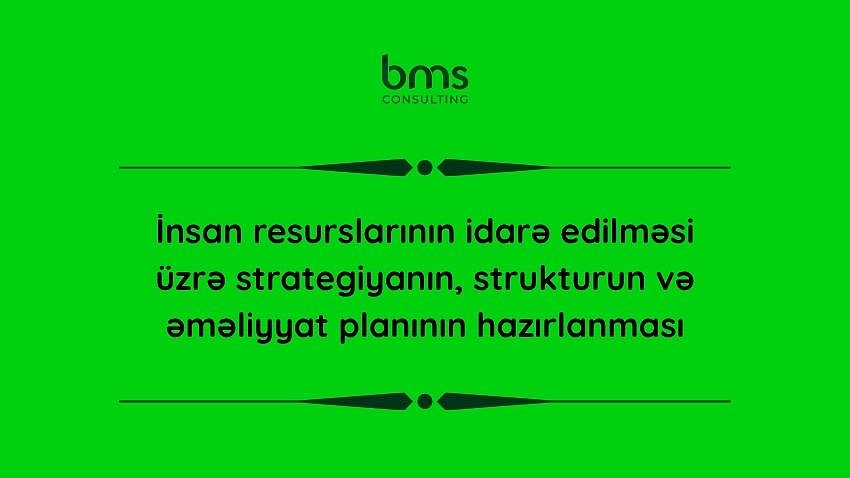 İnsan resurslarının idarə edilməsi üzrə strategiyanın, strukturun və əməliyyat planının hazırlanması