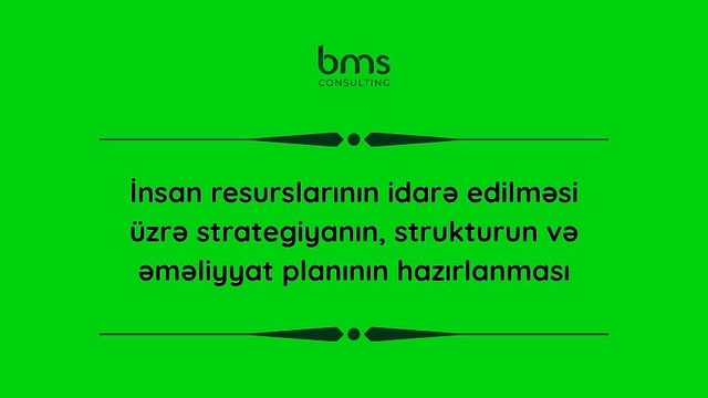 İnsan resurslarının idarə edilməsi üzrə strategiyanın, strukturun və əməliyyat planının hazırlanması