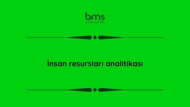İnsan resursları analitikası